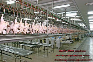 技术赋能下的清真与犹太饮食革新 Alibaba.com屠宰机推动高价值食材加工标准化